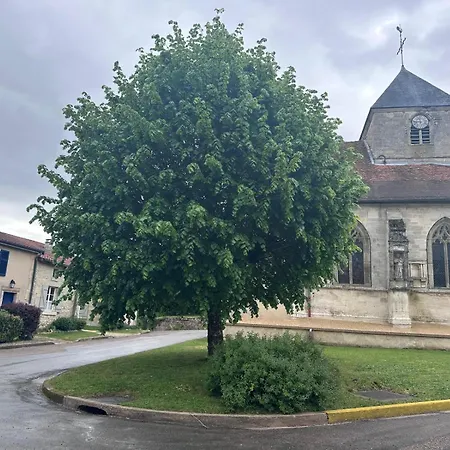 Maison Des Arts